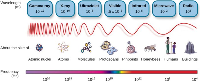 Spectrum electromagnetic physics rays gamma level microwaves